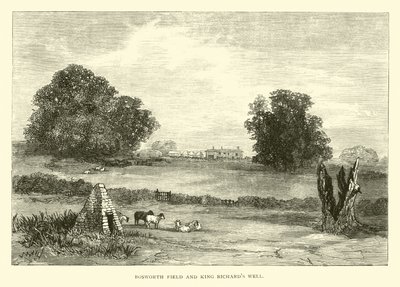 Bosworth Field和King Richards Well 作者 英语学校