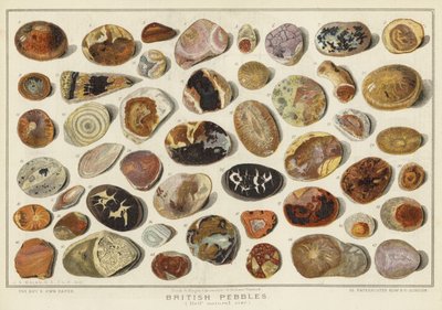 英国鹅卵石(chromolitho) 作者 英语学校