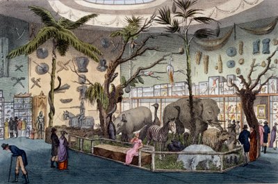 公牛博物馆，22 Piccadilly，伦敦，来自Ackermanns Repository of Arts，1809 作者 英语学校