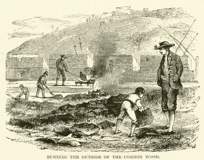 Burning the outside of the common wood (engraving) 作者 英语学校
