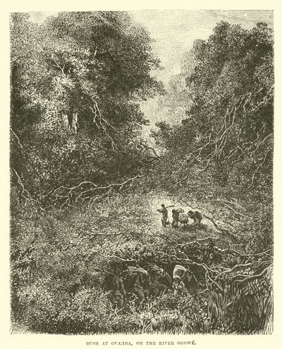 布什在Ovamba，Ogowe河上 作者 英语学校