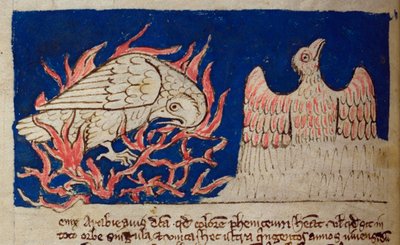 CCA-LitMs - D - 10 fol。 17v Pheonix，来自Bestiary 作者 英语学校