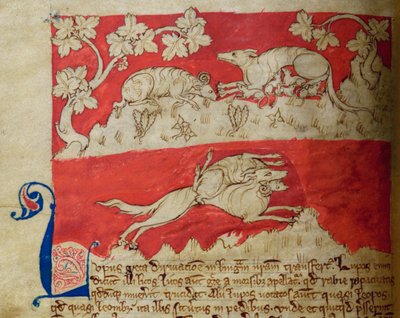 CCA-LitMs - D - 10 fol。 4v Wolf，来自Bestiary 作者 英语学校