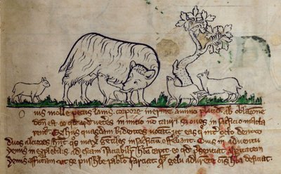 CCA-LitMs - D - 10 fol。 8r绵羊，来自Bestiary 作者 英语学校