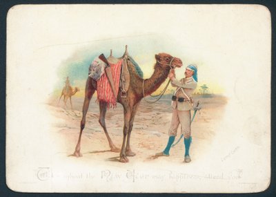 骆驼兵团圣诞贺卡 作者 英语学校