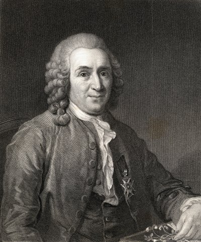 Carl von Linne或Linnaeus（1707-78）来自肖像画廊，出版于1833年 作者 英语学校