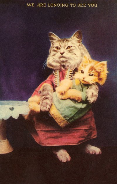 猫和小猫（彩色石版画） 作者 英语学校