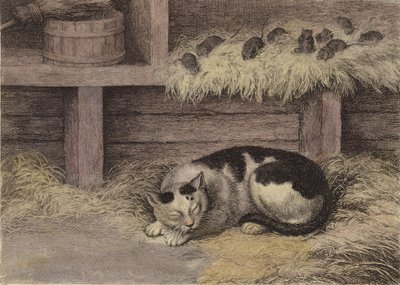 猫和老鼠在谷仓（有色雕刻） 作者 英语学校