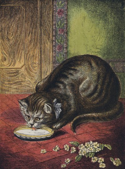 猫喝牛奶 作者 英语学校