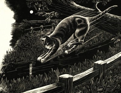 猫从树枝上跳跃 作者 英语学校
