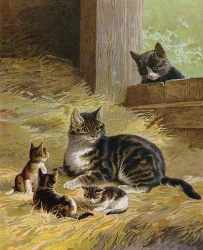 猫和小猫在谷仓里（色谱法） 作者 英语学校