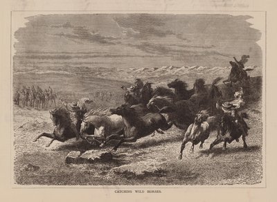 捕捉野马（雕刻） 作者 英语学校