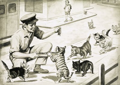 猫来迎接猫肉人 作者 英语学校