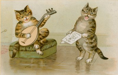 猫制作音乐 作者 英语学校