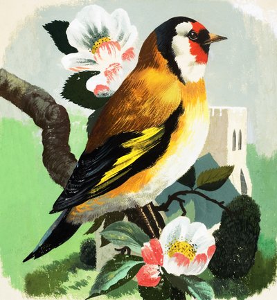 水粉画纸 作者 英语学校