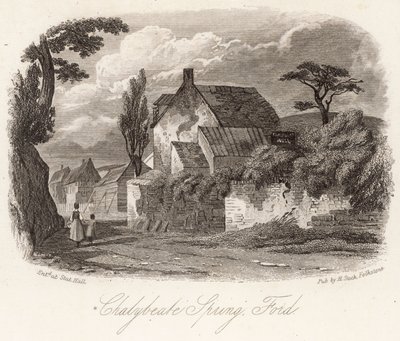 Chalybeate Spring Ford 作者 英语学校