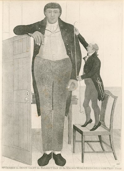 Charles Byrne，又名爱尔兰巨人奥布莱恩，是世界上最高的人，身高近9英尺 作者 英语学校