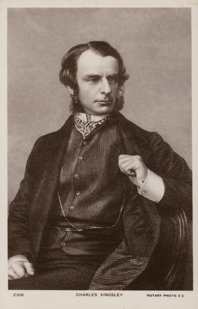 查尔斯・金斯利（1819-1875），英国牧师、历史学家和小说家（平版） 作者 英语学校