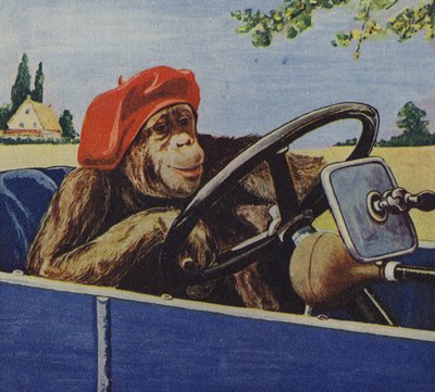 黑猩猩驾驶汽车（彩色石版画） 作者 英语学校