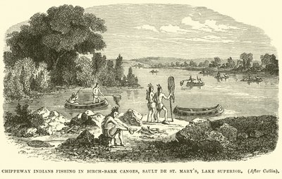 Chippeway印第安人在Birch-bark Canoes，Sault de St Marys，苏必利尔湖钓鱼 作者 英语学校