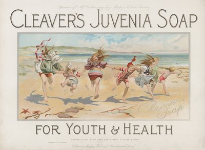 Cleavers Juvenia Soap for Youth＆Health 作者 英语学校