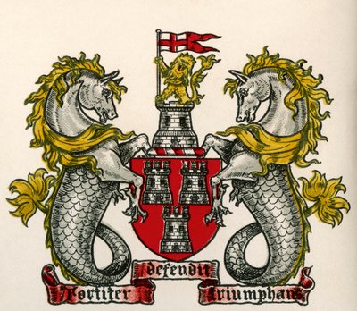 徽章，泰恩河畔纽卡斯尔，英格兰 作者 英语学校