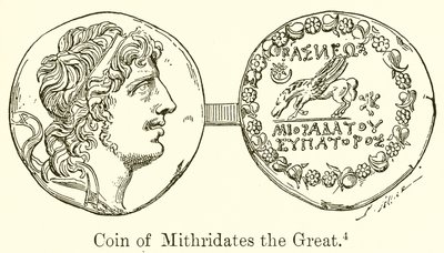 Mithridates the Great的硬币 作者 英语学校