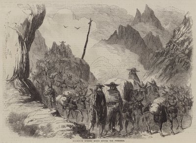 Conveying Spanish Wines across the Pyrenees (engraving) 作者 英语学校