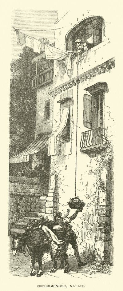 Costermonger，那不勒斯 作者 英语学校