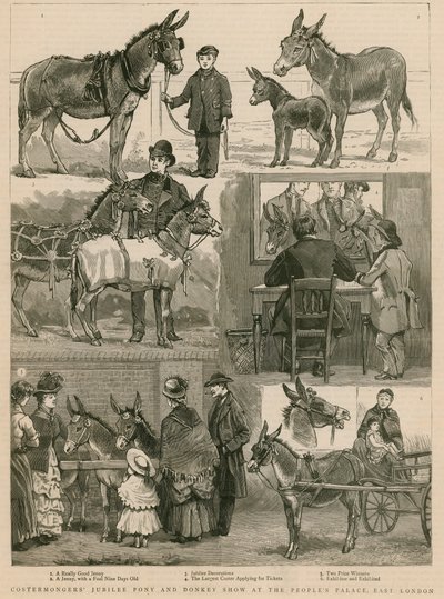 Costermongers Jubilee Pony and Donkey Show在东伦敦人民宫 作者 英语学校