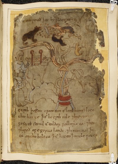 Cotton Vitellius A.XV，f.101r，三只像狗一样的蚂蚁攻击拴着的骆驼，穿长衫的男人，《贝奥武夫》插图，出自 "Nowell 抄本"（羊皮纸上的墨水）。 作者 英语学校