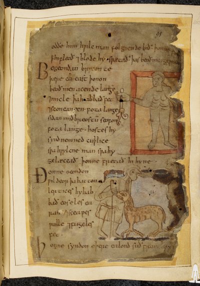 Cotton Vitellius A.XV，f.102，一个裸体男人拿着一株植物；两个男人在交谈，他们中间有一只羊一样的野兽 lertix，插图来自《贝奥武夫》，出自《诺威尔手抄本》（羊皮纸上的墨水）。 作者 英语学校