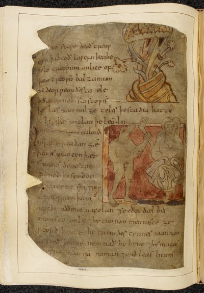 Cotton Vitellius A. XV f.103v，一棵生长香脂的树；一个兽头人 Donestre 站在左边，手里拿着人的腿和脚，右边站着一个人，插图来自《贝奥武夫》，出自 "Nowell 抄本"（羊皮纸上的墨迹）。 作者 英语学校