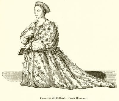 Countess de Cellant 作者 英语学校