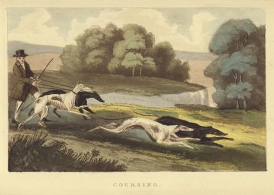 Coursing（彩色雕刻） 作者 英语学校