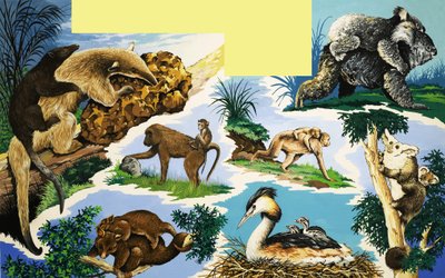 携带年轻人的生物 作者 英语学校