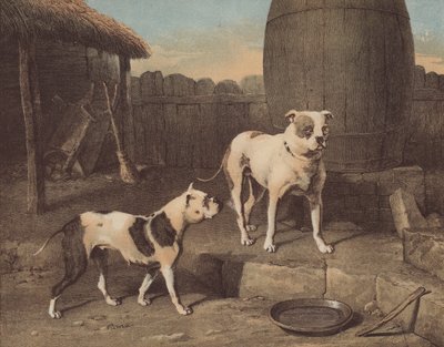 婴儿床和罗莎（chromolitho）。 作者 英语学校