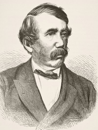 来自威廉希克曼史密斯奥布里（1858-1916）的“英国国内和国内历史”中的大卫·利文斯通出版了伦敦，1890年 作者 英语学校