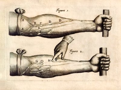 De Motu Cordi，由威廉·哈维（William Harvey，1578-1657 年）于 1628 年首次出版，在 Animalibus