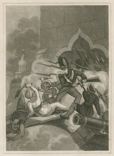 蒂波奥·萨希布（Tippoo Sahib）于1799年在印度塞里加巴坦被围困时去世 作者 英语学校