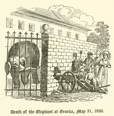 1820年5月31日，日内瓦大象之死 作者 英语学校