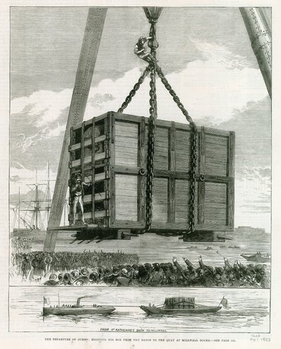 离开Jumbo 作者 英语学校