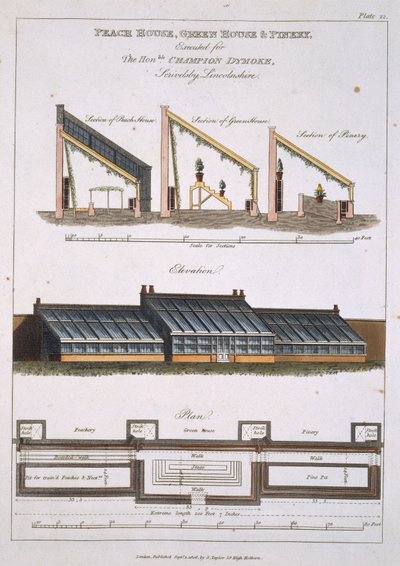 桃花屋，温室和松林的设计，1806年 作者 英语学校