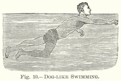 像狗一样游泳（雕刻） 作者 英语学校