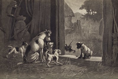 狗 (chromolitho) 作者 英语学校