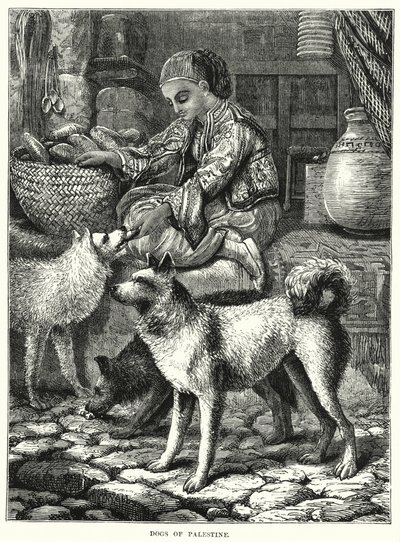 巴勒斯坦的狗（雕版画 作者 英语学校