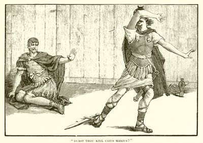 Durst你杀了Caius Marius？ 作者 英语学校