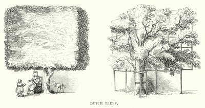 荷兰树（雕版画 作者 英语学校