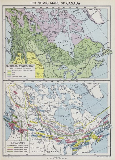 加拿大经济地图（彩色印刷版） 作者 英语学校
