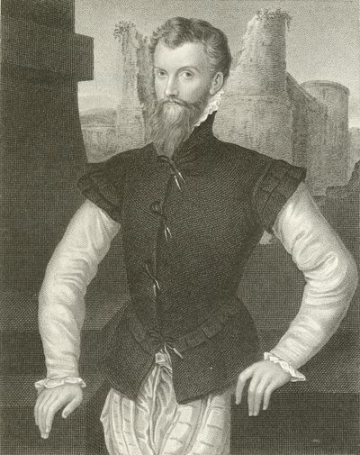 德文郡伯爵Edward Courtenay 作者 英语学校
